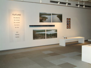 Su Grierson. ‘Flatland’. Text describes a personal experience related to the images.