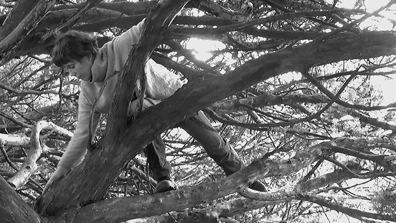 Su Grierson, Video still from ‘Yew Tree climb’.