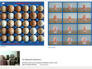 Su Grierson, ‘Un-Natural selection’ card to accompany video. Eggs commercially rejected for aesthetic reasons.