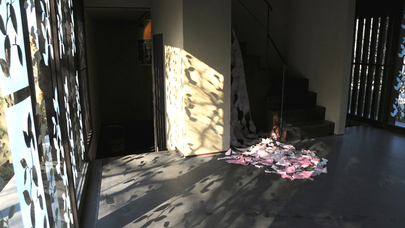 Su Grierson, Gallery installation of 'Magnolia' with contrived shadows and reflection.