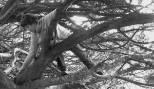 Su Grierson, Video still from ‘Yew Tree climb’.