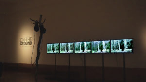 Su Grierson, ‘Forest is …’ installed Perth Museum and Art Gallery.
