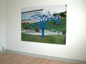 Su Grierson, Blue tree-Photographed in Norway - installed