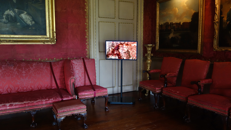 Su Grierson, Digital Dyes installed in the Red Drawing room